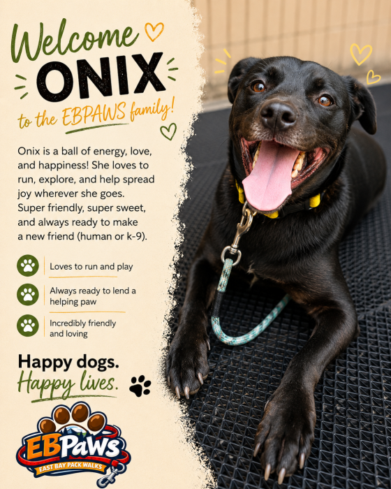 Onix