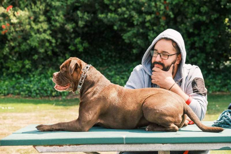 owner with happy dog outdoors